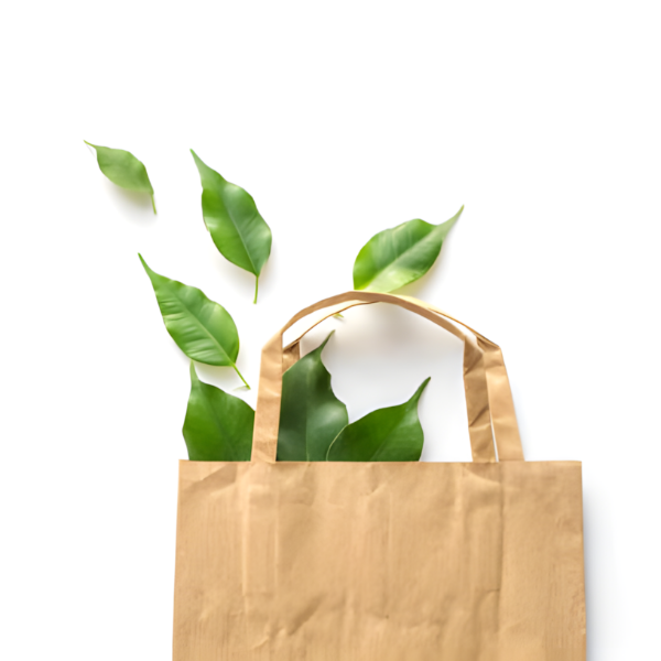 Papiertragetaschen günstig kaufen: Nachhaltig verpacken und Geld sparen